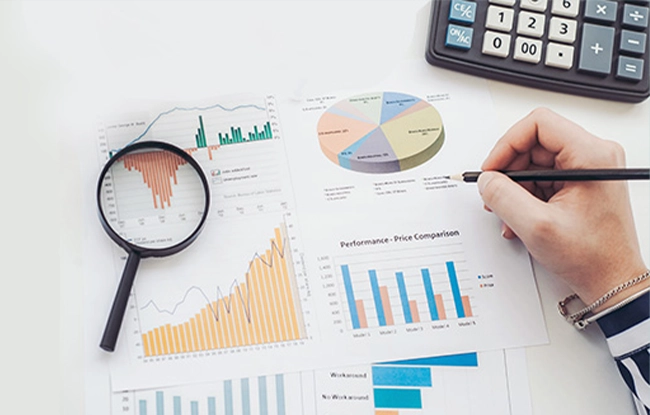 Audit Support